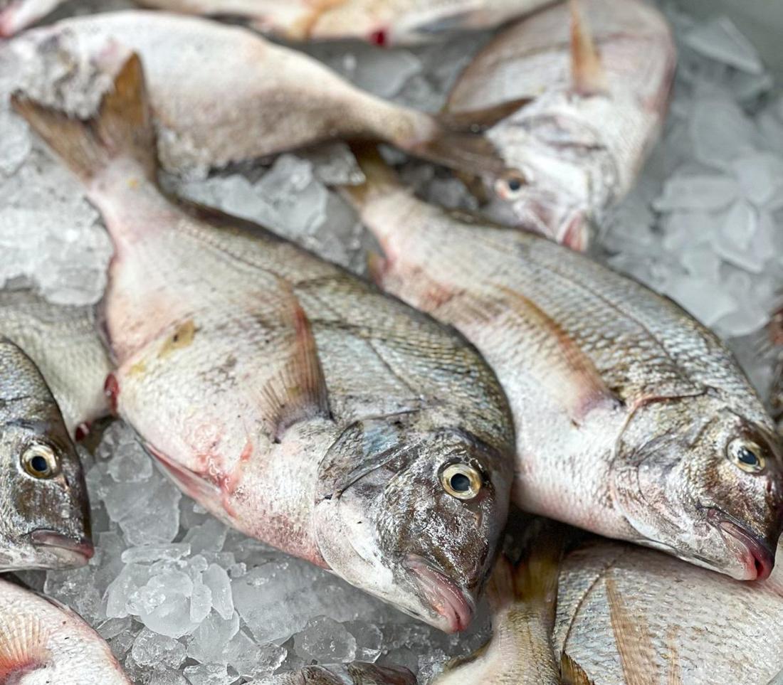 Red's Best Fish Market source photo review