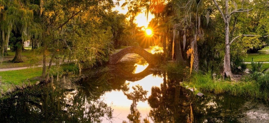 New Orleans City Park photograph
